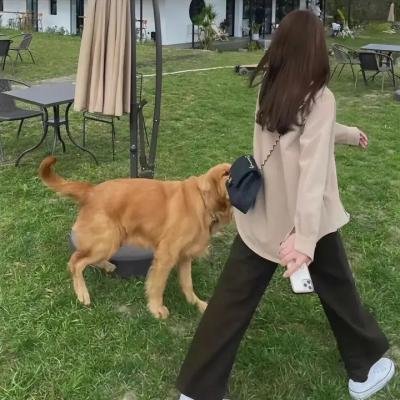 狼山喋血记
